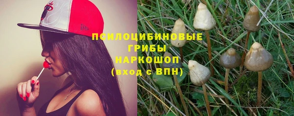 прущие крисы Алексеевка