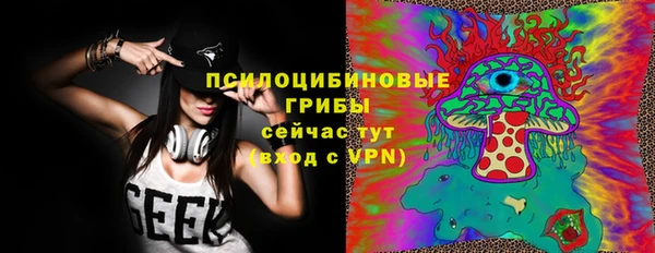соль ск Алексин
